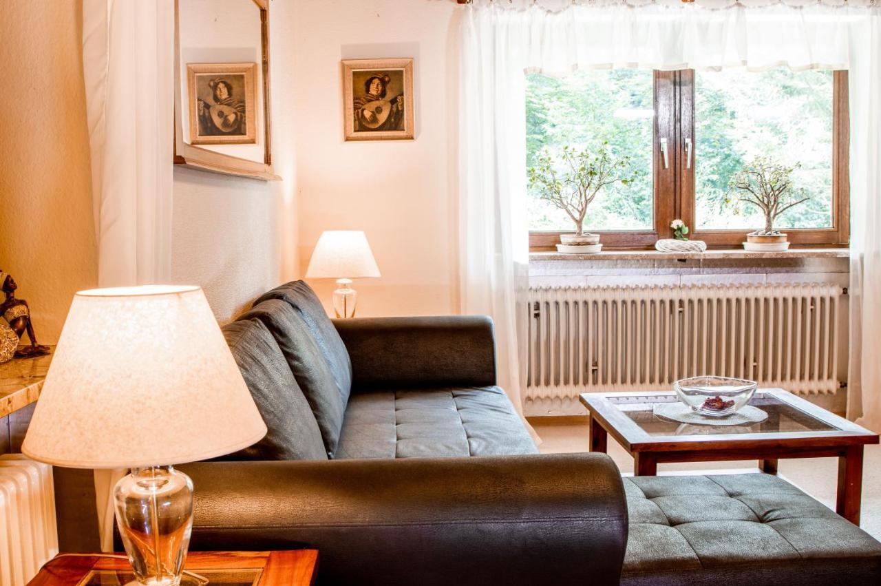 Apartments Haus Martin ไบเออริช ไอเซินชไตน์ ภายนอก รูปภาพ